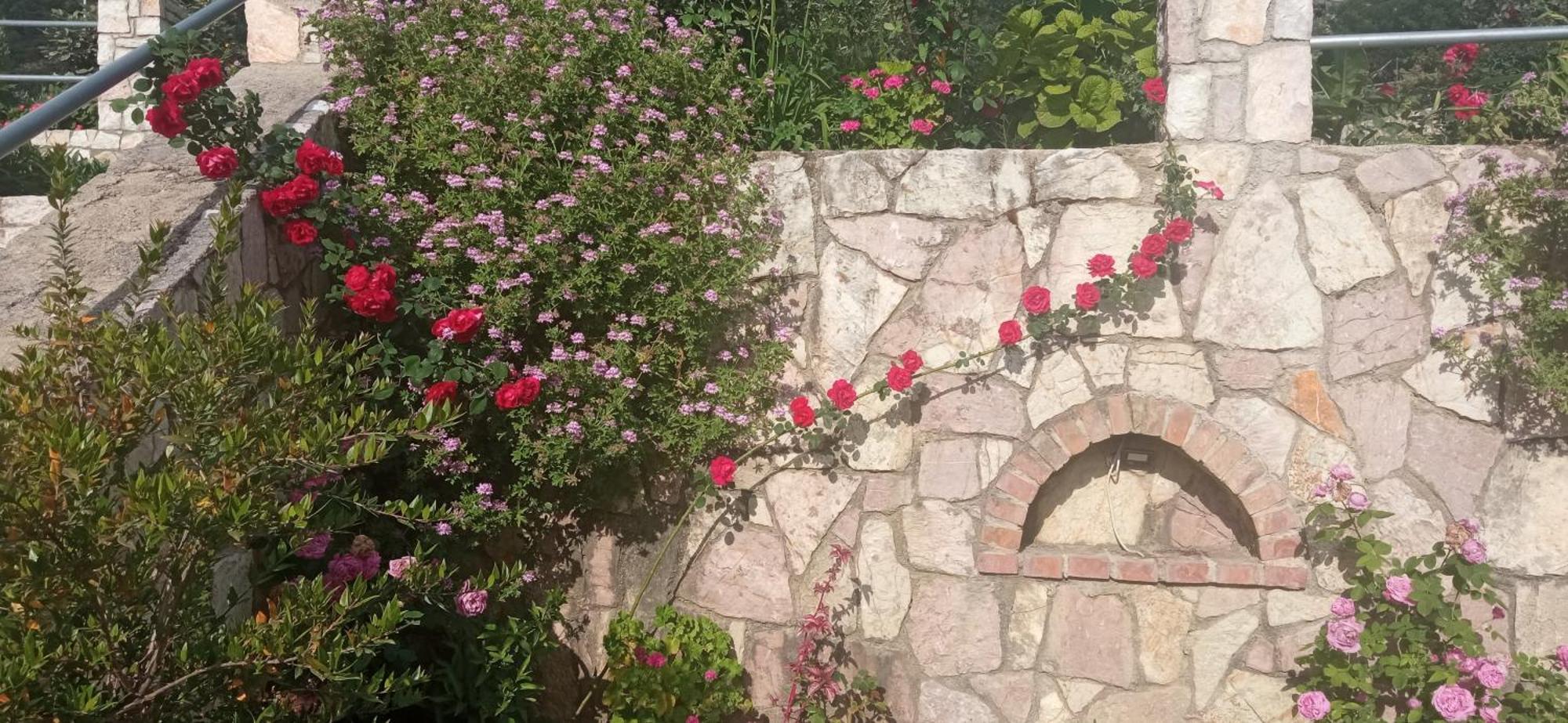 Helen Apartments Lukovë المظهر الخارجي الصورة